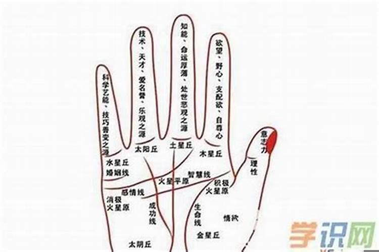 晚婚的女人命运不好吗