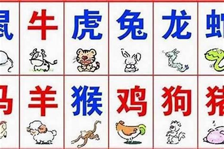 70多岁夫妻性格不合