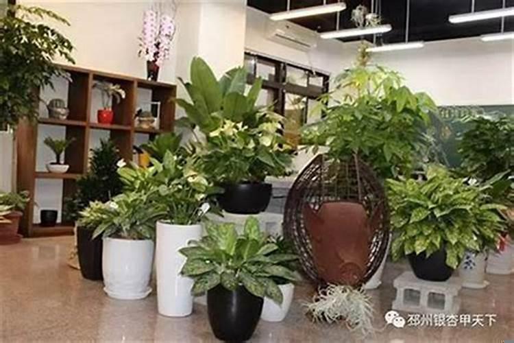 东南方在八卦中代表什么