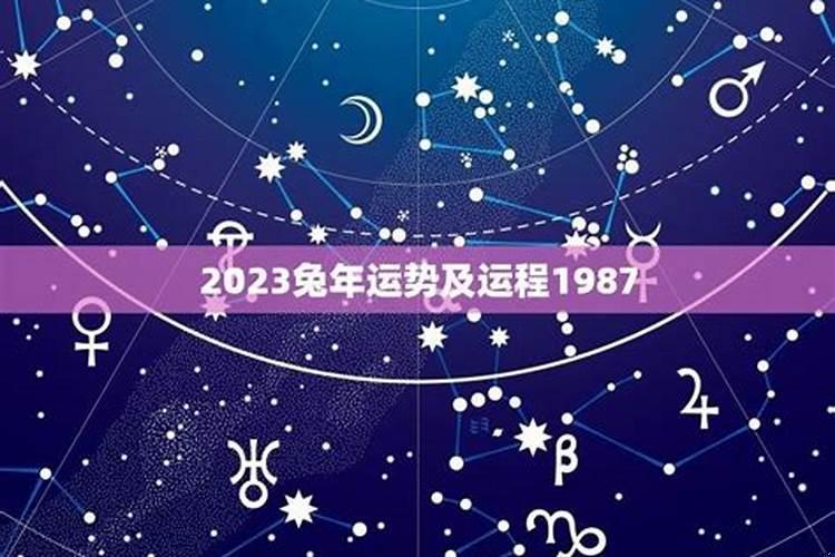 1987年属兔命运今年运势