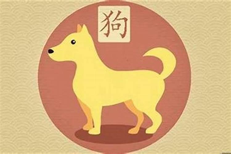 属狗住几层楼风水最好属相