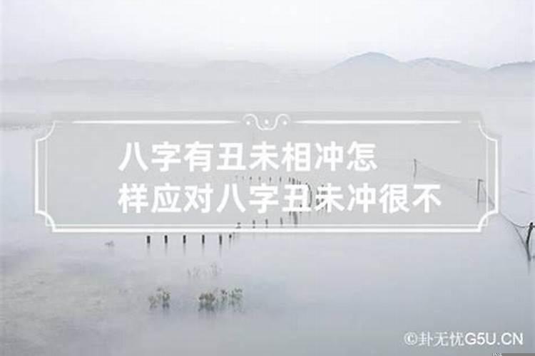 八字地支丑未相冲