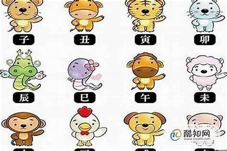 十二生肖最有钱哪个生肖