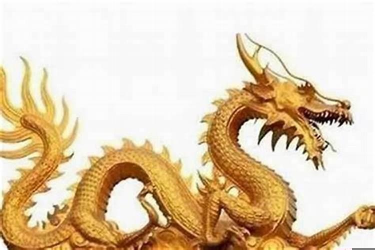 属虎属龙的婚姻相配吗