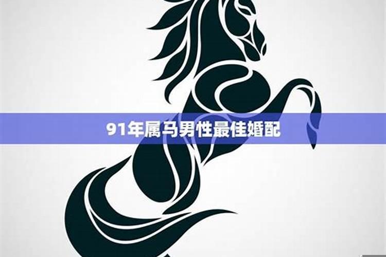 属马的男人什么性格
