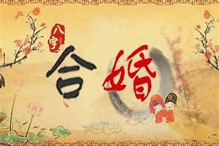 八字合4个字是什么意思