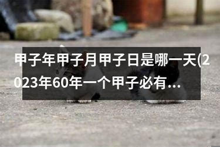 2025年12月是庚子年最后一个月