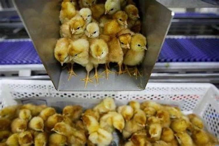 婚姻无助的时候该怎么办