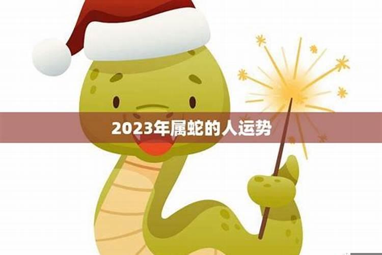 今年属蛇人的运势怎么样