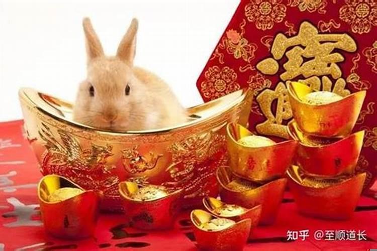 属兔人今天财运运势