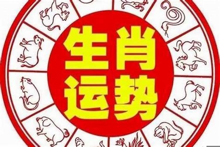 阴谋诡计小人是指什么生肖