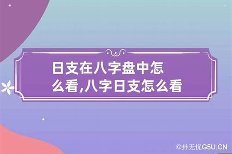 如何看日柱地支
