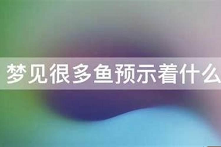 梦见好多鱼预示着什么