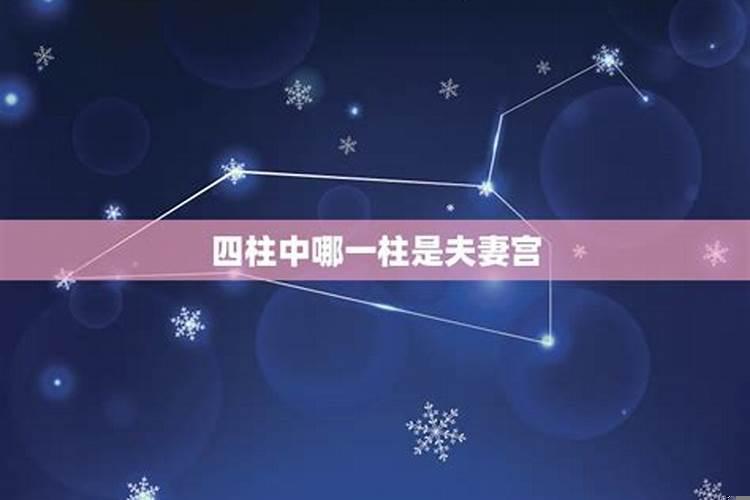 八字妻宫是哪个