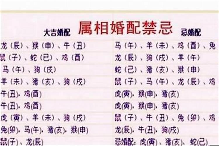 为什么属相不合不能结婚