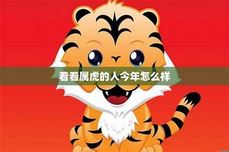 虎年什么属相运势好啊