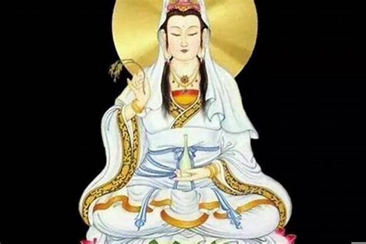 金属花盆能种什么
