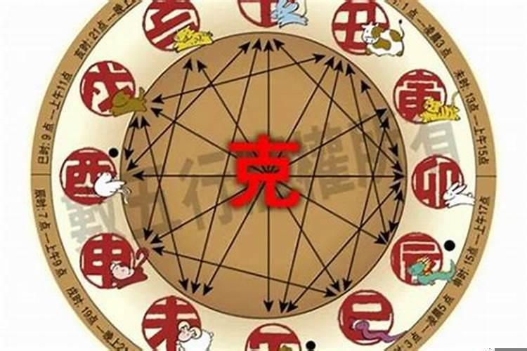 属猪2019年是什么命