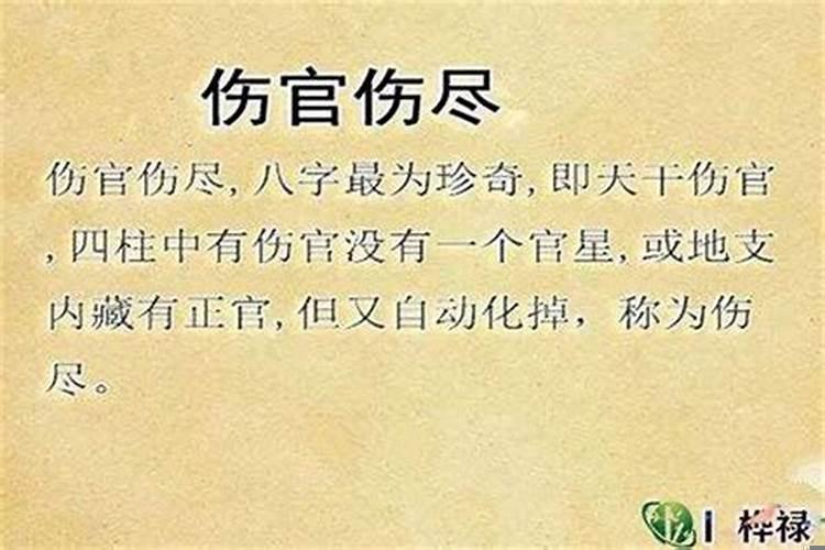 男生八字伤官