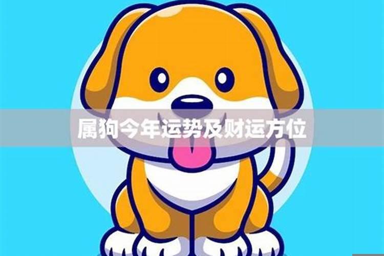属狗的贵人在什么方向