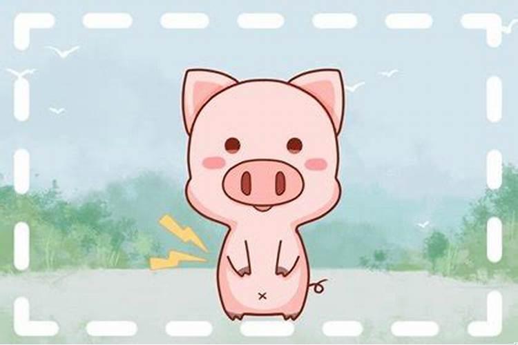 属猪生命中的贵人