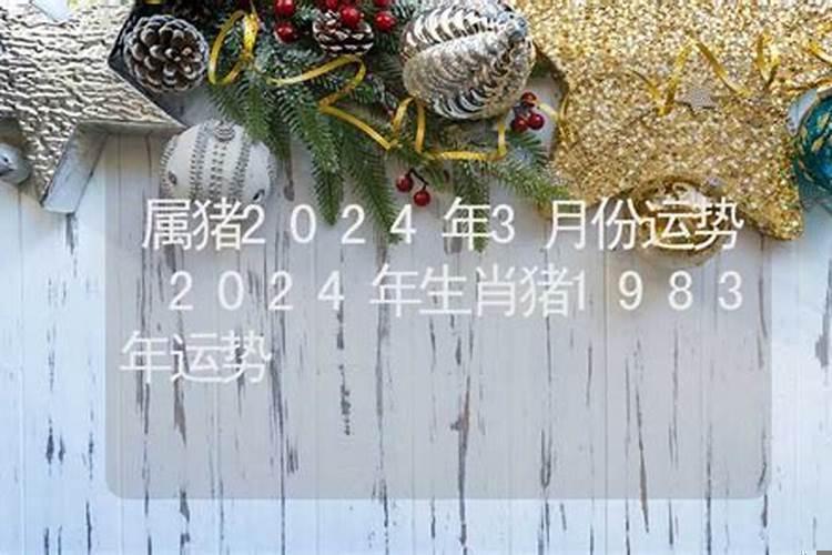 属猪2019年是什么命
