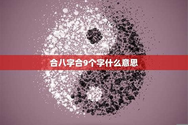 八字合4个字是什么意思