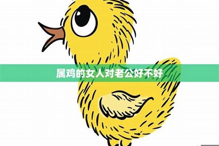 属鸡的男人对老婆怎么样