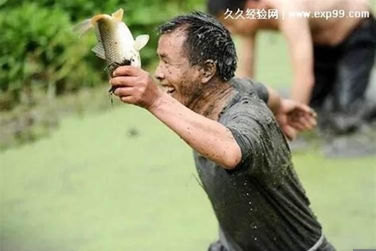 梦见抓鱼也有死鱼