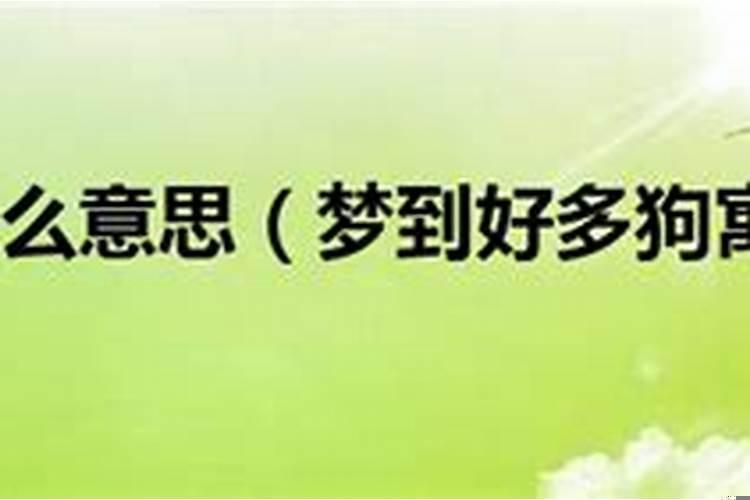 做梦梦见狗是什么寓意