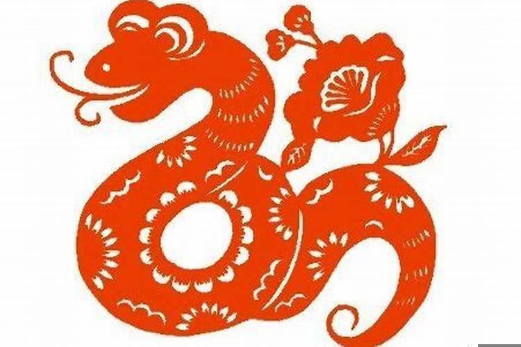 属蛇的今年多大了