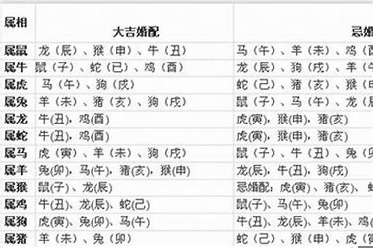 生肖结婚年份宜忌