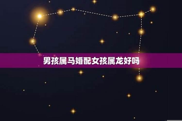 属马男孩和属龙女孩婚配好吗