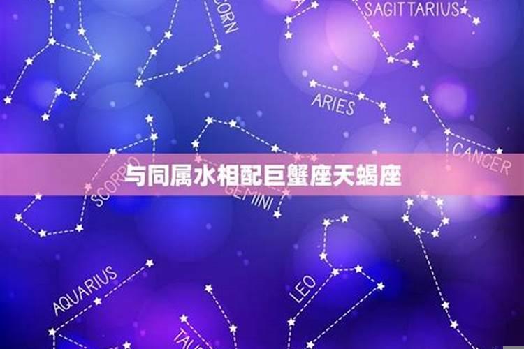 处女座和什么星座配对值