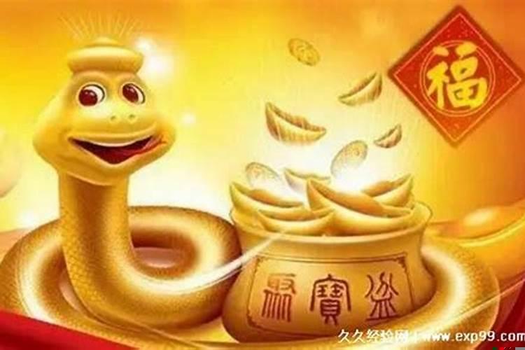 属蛇的今年多大了