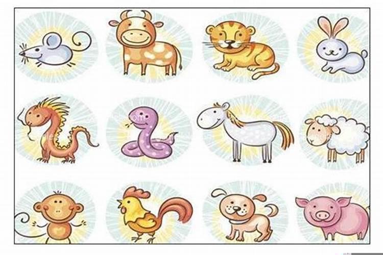 鼠牛虎兔龙蛇羊猴鸡狗猪你马没了