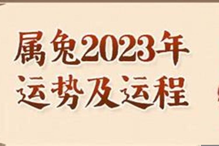87年属兔在2022年的运势