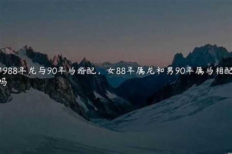 88年男属龙会喜欢90年属马女吗