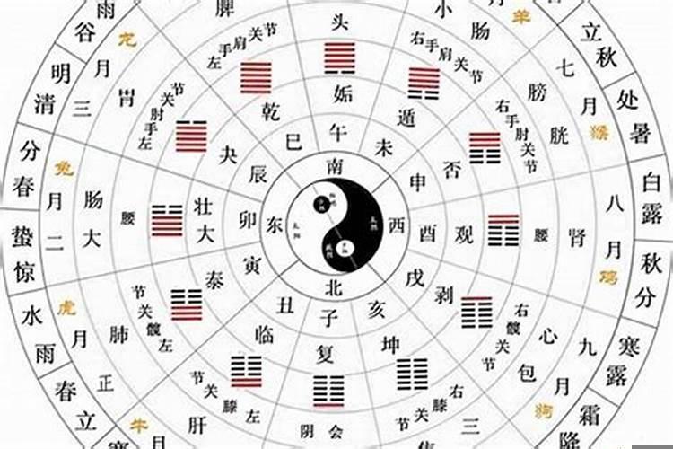 怎么看生辰的天干地支