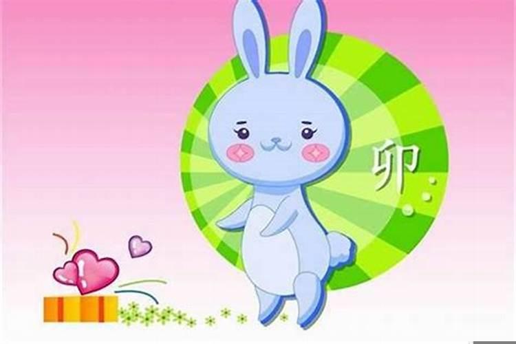 生肖兔几月出生的人命最好