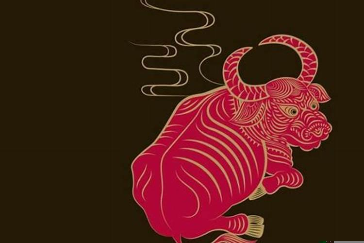 生肖属虎的人最怕什么