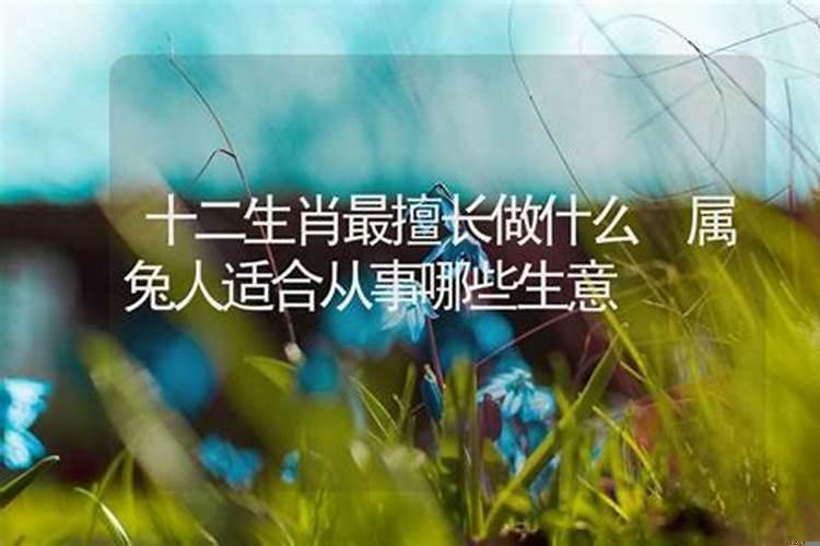 十二生肖适合做什么工作