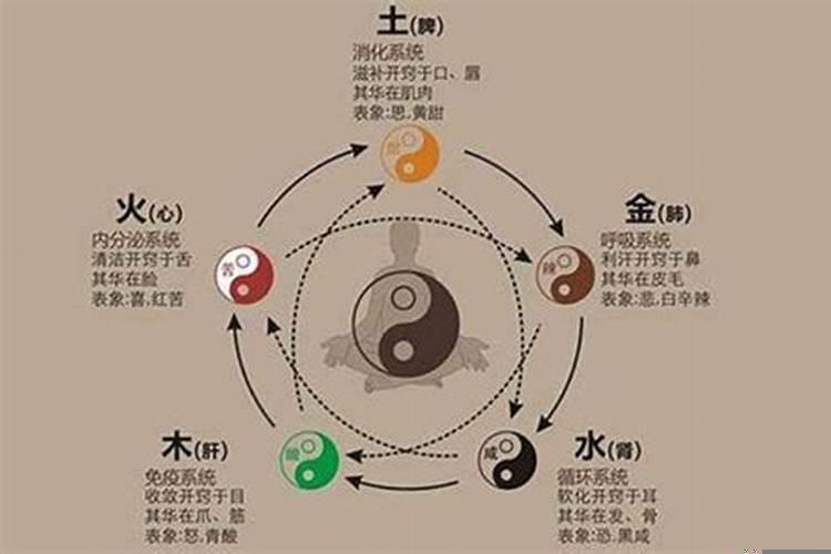 八字看身体健康疾病