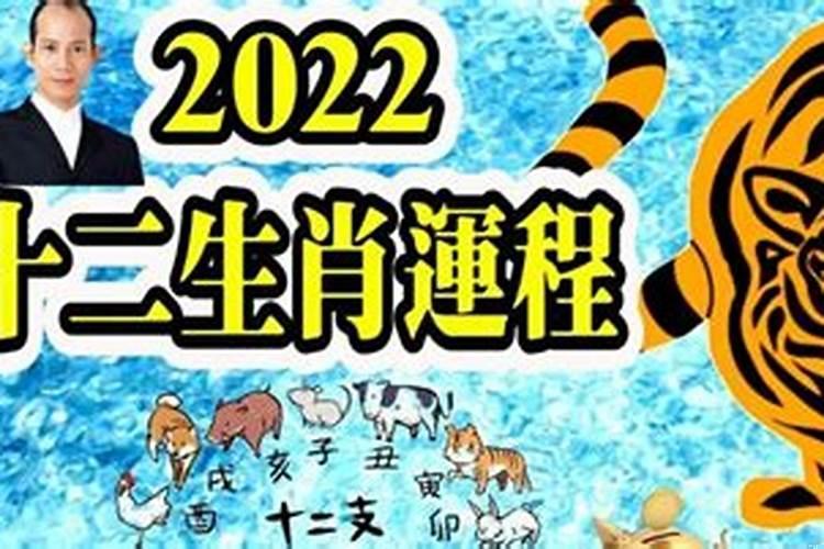 虎年什么属相运势好啊