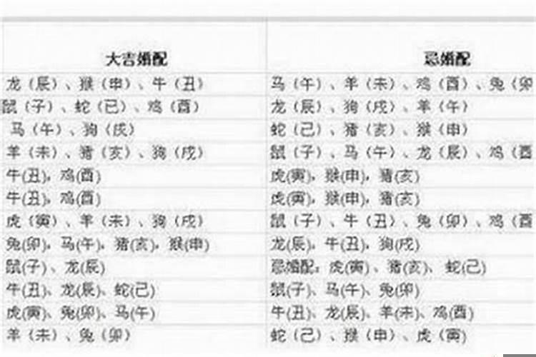 82年生人是什么星座女