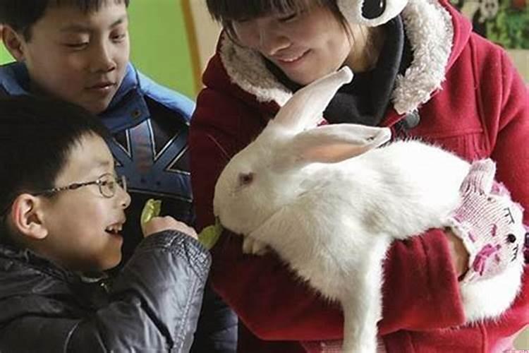 属兔的心机城府深