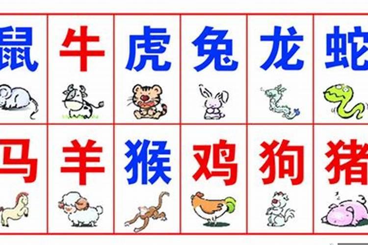 下列属于十二生肖的是