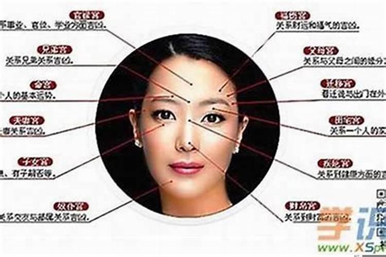 如何从面相看财运