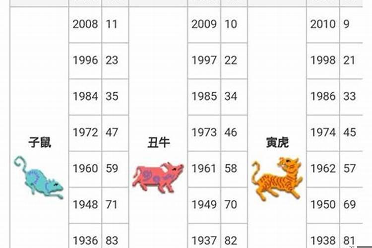 十二生肖好运年龄