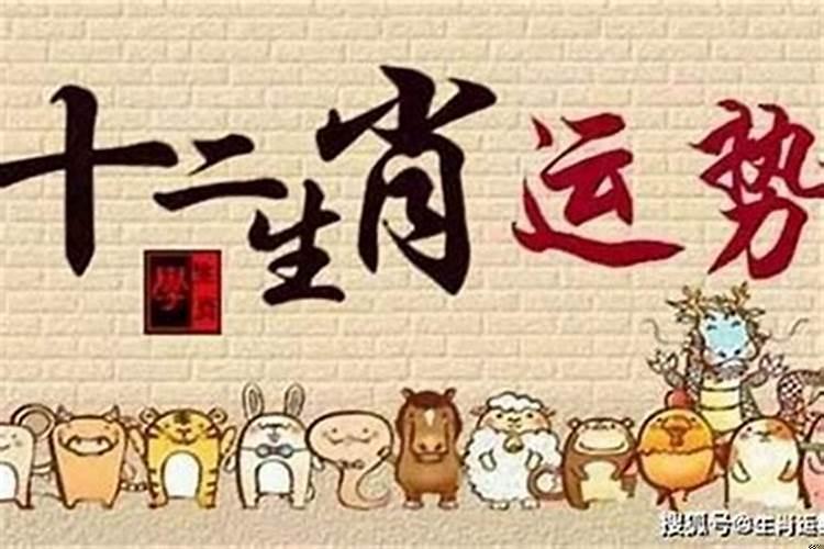 生意可发家是什么生肖